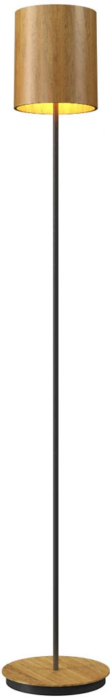 Accord Lighting Cylindrical 62.99" Contemporary Floor Light 3054