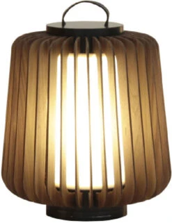 Accord Lighting Stecche Di Legno 15.35" LED Contemporary Floor Light Imbuia 3037.06