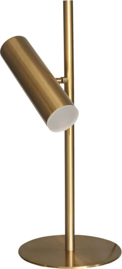 Dainolite Constance 19.75" LED Modern Study Lamp Aged Brass CST-196LEDT-AGB