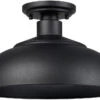 Golden Lighting Levitt 8.25" Exterior Ceiling Light Fixture Natural Black 2866-OSF NB-NB