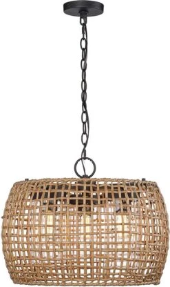 Golden Lighting Piper 14.375" Modern Outdoor Hanging Light Fixture Natural Black 1067-O3P NB-MAW