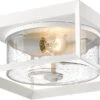 Golden Lighting Smyth 5.875" Modern Outdoor Home Ceiling Lighting Natural White 2073-OFM NWT-SD