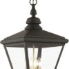 Livex Adams 31" Lighting Pendant Bronze With Antique Brass 27378-07