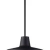 Maxim Pier M 8" Modern Outdoor Lighting Pendant Black 35019BK