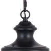 Vaxcel Magnolia 14.25" Outdoor Ceiling Pendant Light Oil Rubbed Bronze T0671