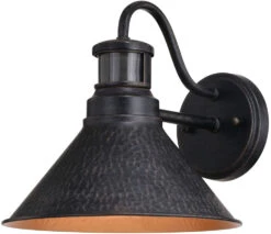 Vaxcel Outland 9.5" Outdoor Wall Sconce Lighting Aged Iron And Light Gold T0669