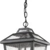 Z-Lite Bayland 15.88" Exterior Pendant Lamp Black 539CHM-BK
