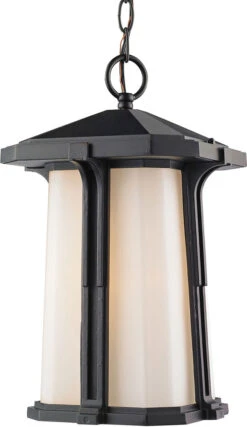 Z-Lite Harbor Lane 12" Exterior Hanging Lamp Black 542CHM-BK