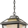 Z-Lite Memphis Outdoor 15.88" Outdoor Ceiling Pendant Light Oil Rubbed Bronze 532CHM-ORB