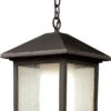 Z-Lite Mesa 15.25" Exterior Lighting Pendant Oil Rubbed Bronze 524CHB