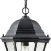 Z-Lite Wakefield 19.5" Outdoor Drop Ceiling Lighting Black 522CHM-BK